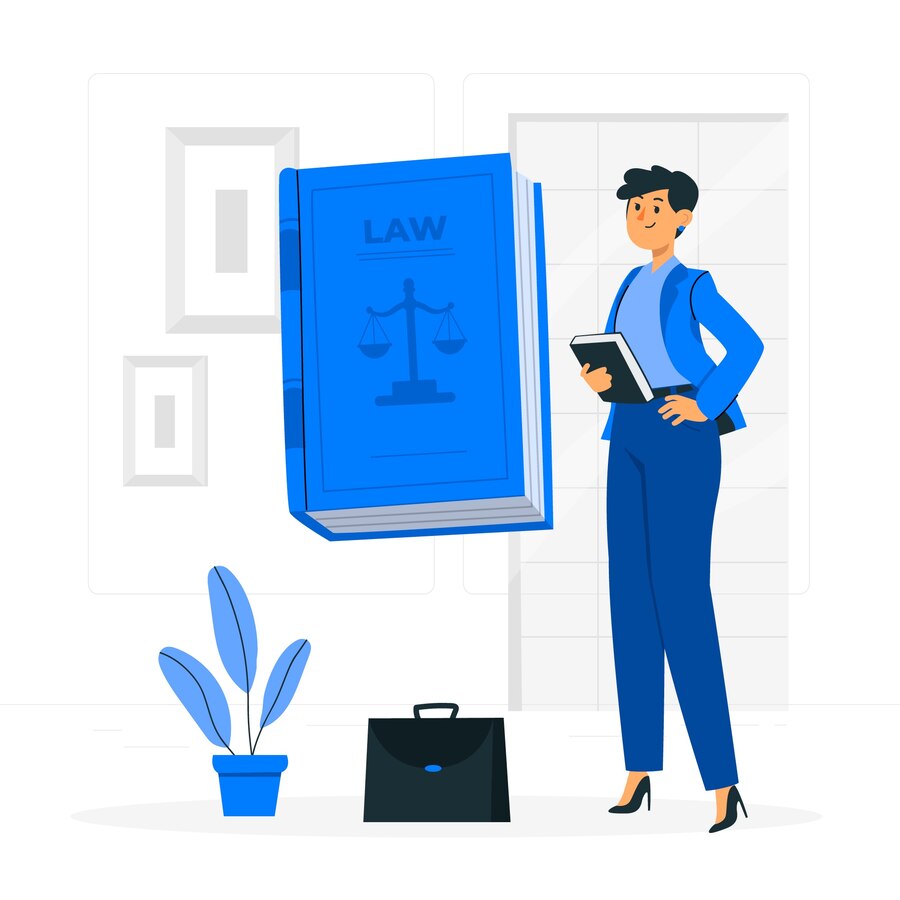 Corporate Lawyer