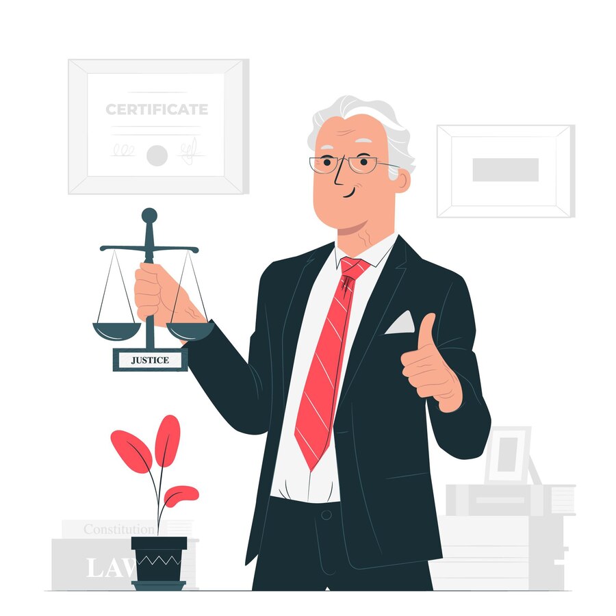 Litigation Lawyer